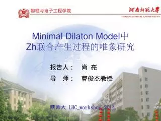 minimal dilaton model zh