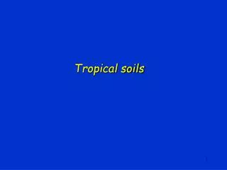 Tropical soils