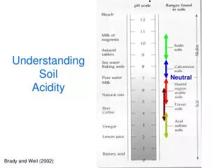 Understanding Soil Acidity