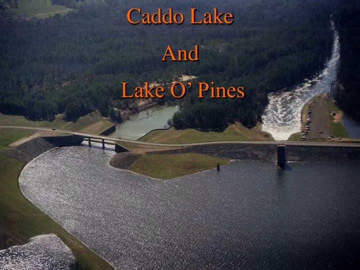 caddo lake and lake o pines