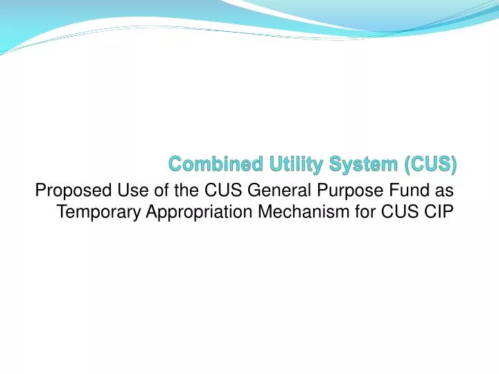 combined utility system cus