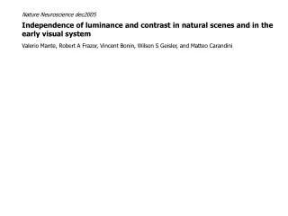 Independence of luminance and contrast in natural scenes and in the early visual system