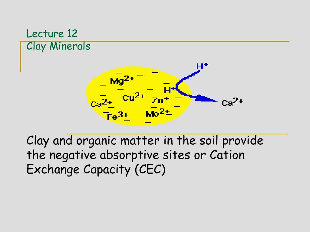 PPT - Lecture 12 Clay Minerals PowerPoint Presentation, free download ...