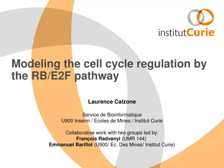 modeling the cell cycle regulation by the rb e2f pathway