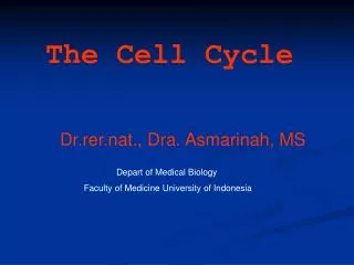 The Cell Cycle