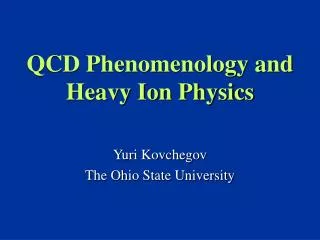 QCD Phenomenology and Heavy Ion Physics
