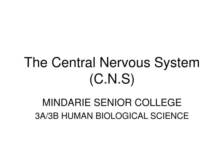 the central nervous system c n s