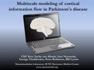 Multiscale modeling of cortical information flow in Parkinson's disease