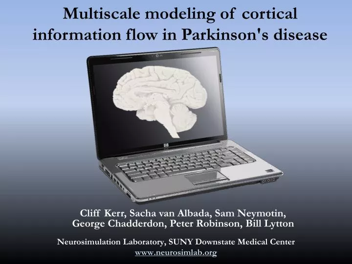 multiscale modeling of cortical information flow in parkinson s disease