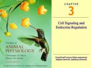Cell Signaling and Endocrine Regulation