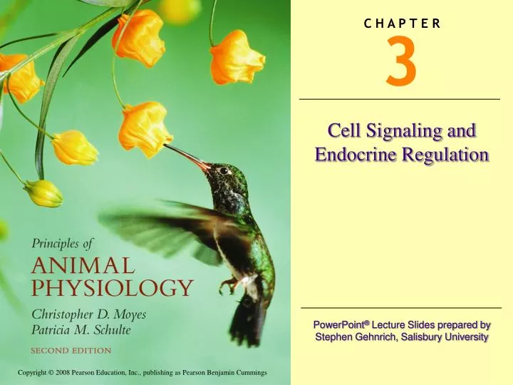 cell signaling and endocrine regulation