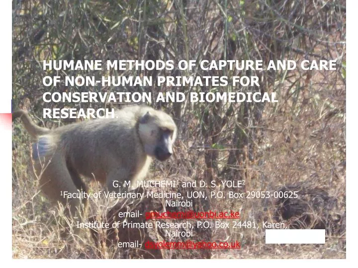 humane methods of capture and care of non human primates for conservation and biomedical research