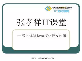 it java web