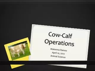Cow-Calf Operations