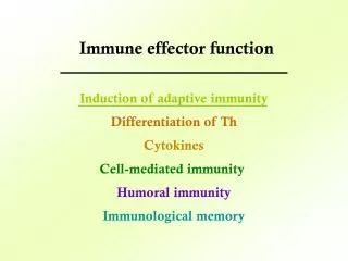 Induction of adaptive immunity Differentiation of Th Cytokines Cell-mediated immunity