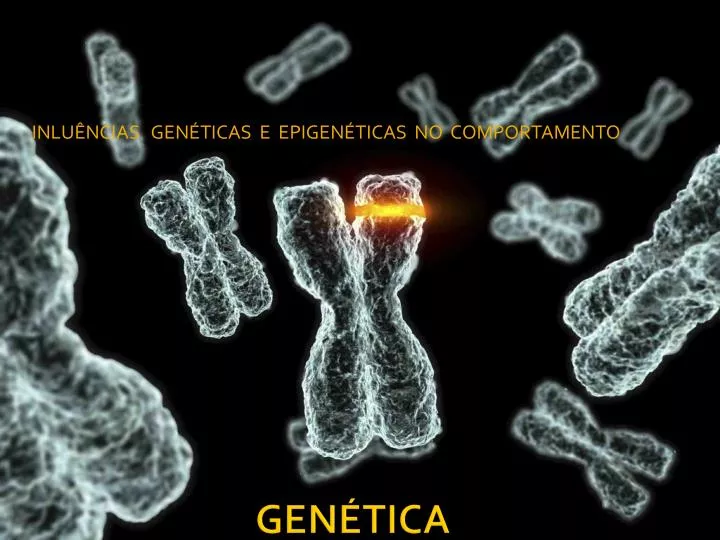 inlu ncias gen ticas e epigen ticas no comportamento