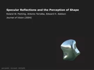 Specular Reflections and the Perception of Shape