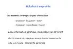 Maladies à empreinte - slide 1