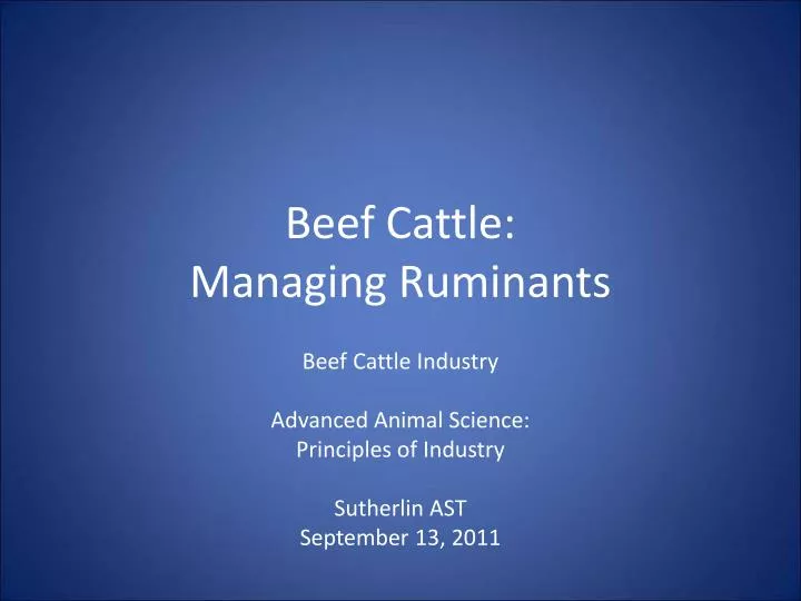 beef cattle managing ruminants