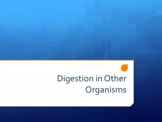 Digestion in Other Organisms