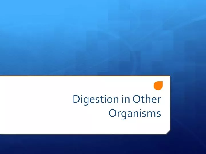 digestion in other organisms