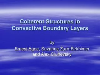 Coherent Structures in Convective Boundary Layers