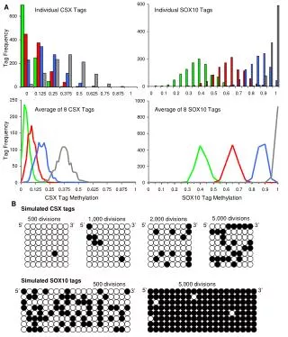 Tag Frequency