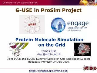 Protein Molecule Simulation on the Grid