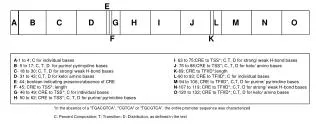 C: Percent Composition; T: Transition; D: Distribution, as defined in the text