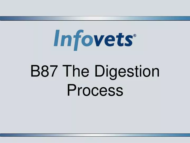 b87 the digestion process