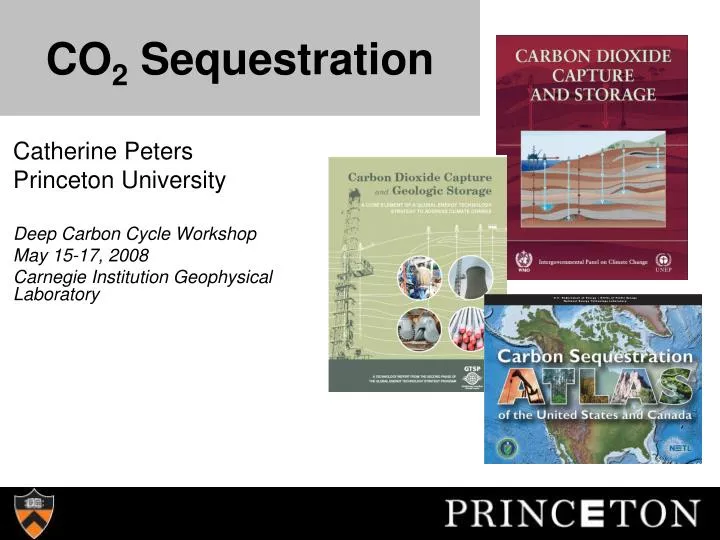 co 2 sequestration