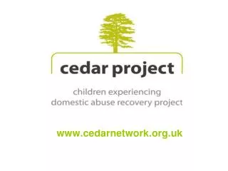 cedarnetwork.uk