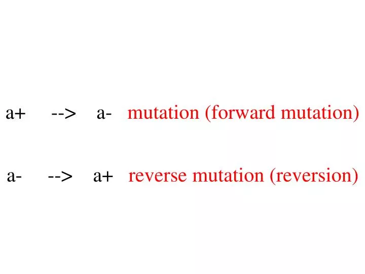 a a mutation forward mutation