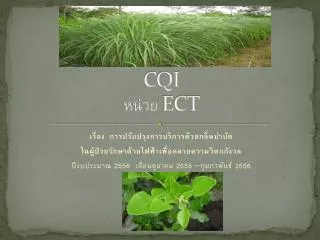 cqi ect