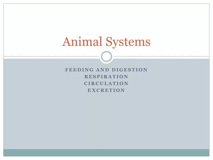 animal systems