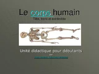 le corps humain t te tronc et extr mit s