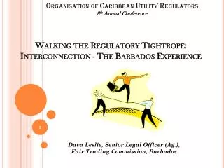 Walking the Regulatory Tightrope: Interconnection - The Barbados Experience