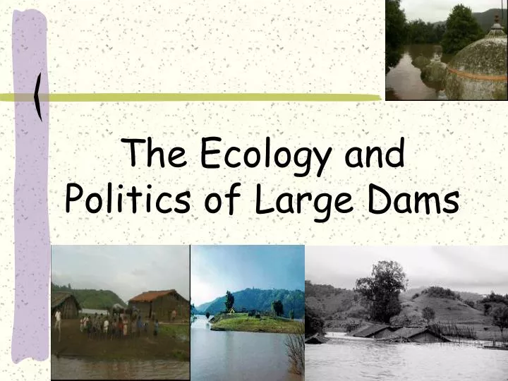the ecology and politics of large dams