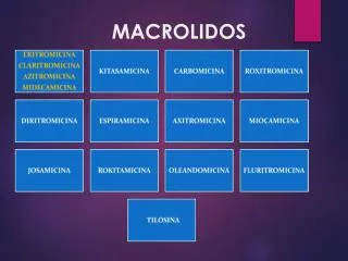 macrolidos