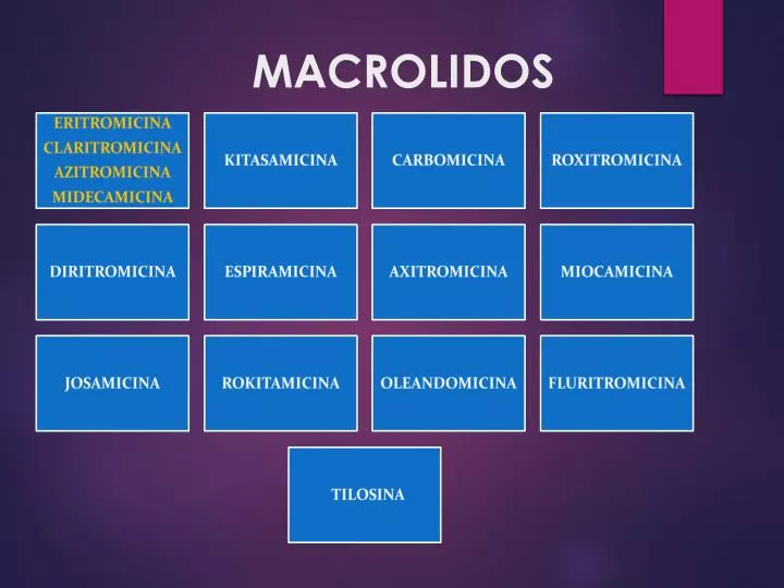 macrolidos