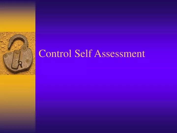 control self assessment