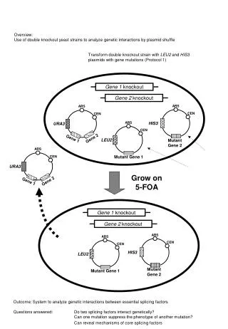 Grow on 5-FOA