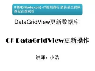 C# DataGridView ???? ?????