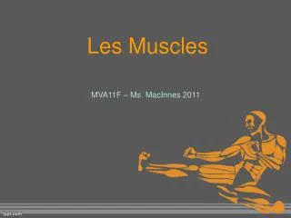 les muscles