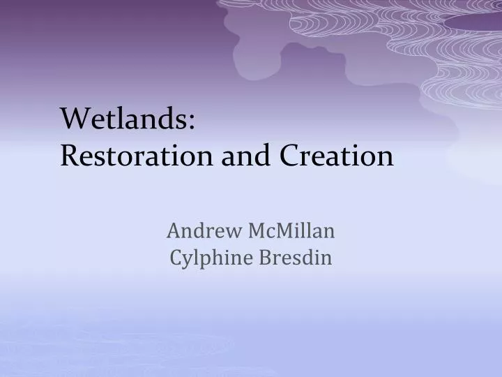 wetlands restoration and creation