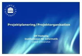 projektplanering projektorganisation