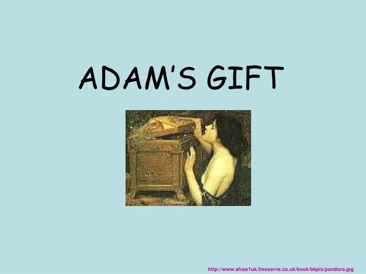 adam s gift