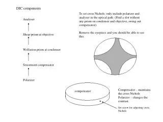 Analyser Shear prism at objective Wollaston prism at condenser Senormont compensator Polarizer