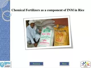 Chemical Fertilizers as a component of INM in Rice