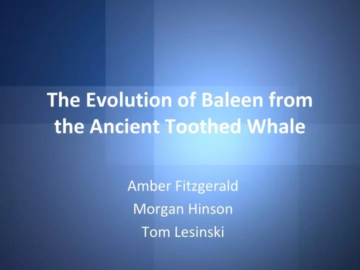 the evolution of baleen from the ancient toothed whale